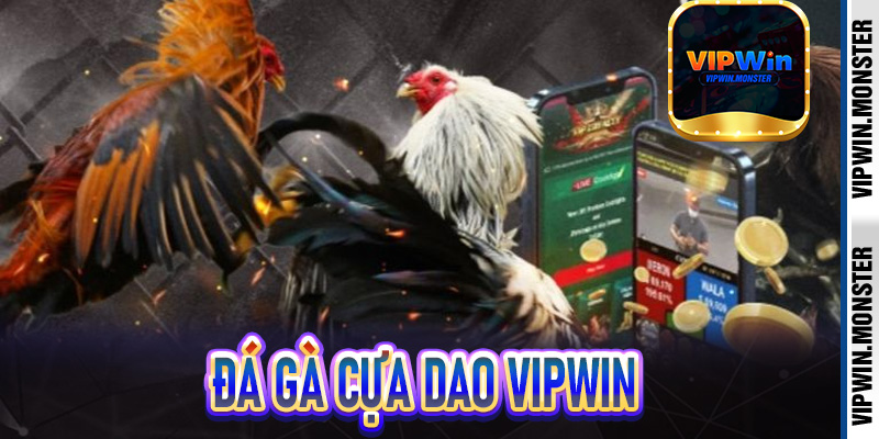 Đá gà cựa dao tại Vipwin