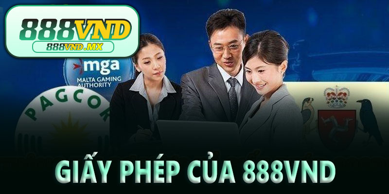 Các loại giấy phép hoạt động 888P sở hữu